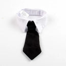 Traje Elegante para Gatos