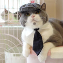 Traje Elegante para Gatos
