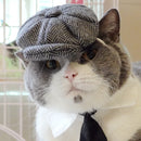 Traje Elegante para Gatos