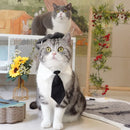 Traje Elegante para Gatos