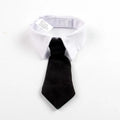 Traje Elegante para Gatos