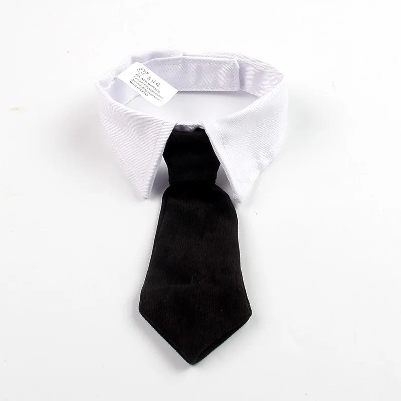 Traje Elegante para Gatos