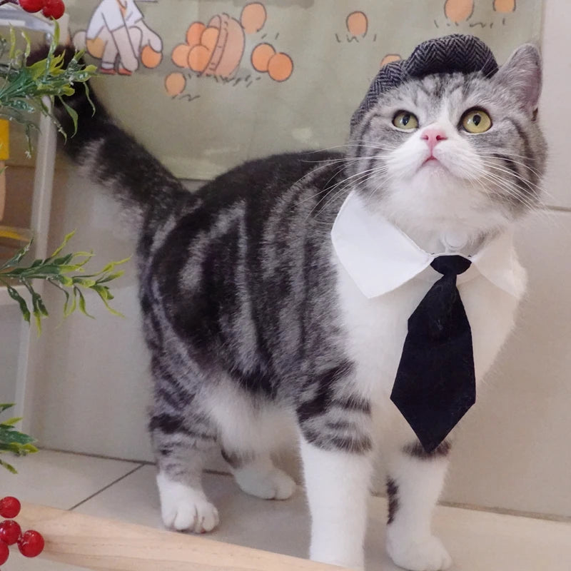 Traje Elegante para Gatos