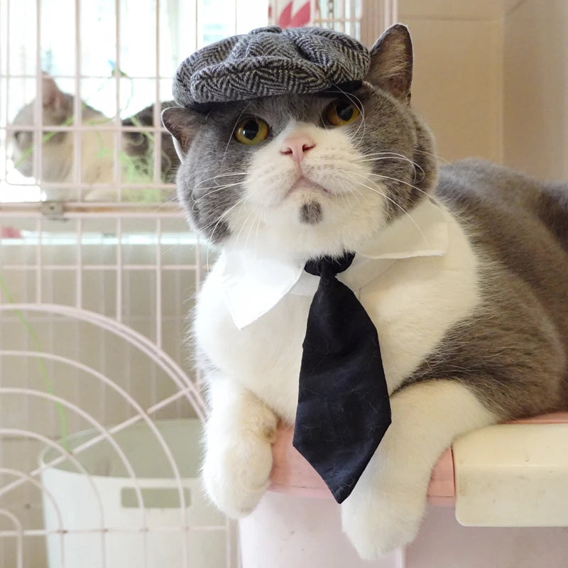 Traje Elegante para Gatos