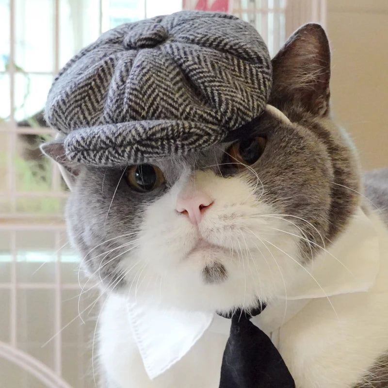Traje Elegante para Gatos