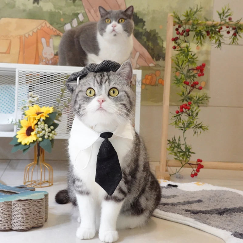 Traje Elegante para Gatos